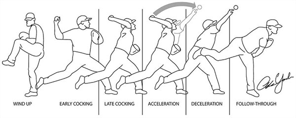 Shoulder and Elbow Injuries in Baseball